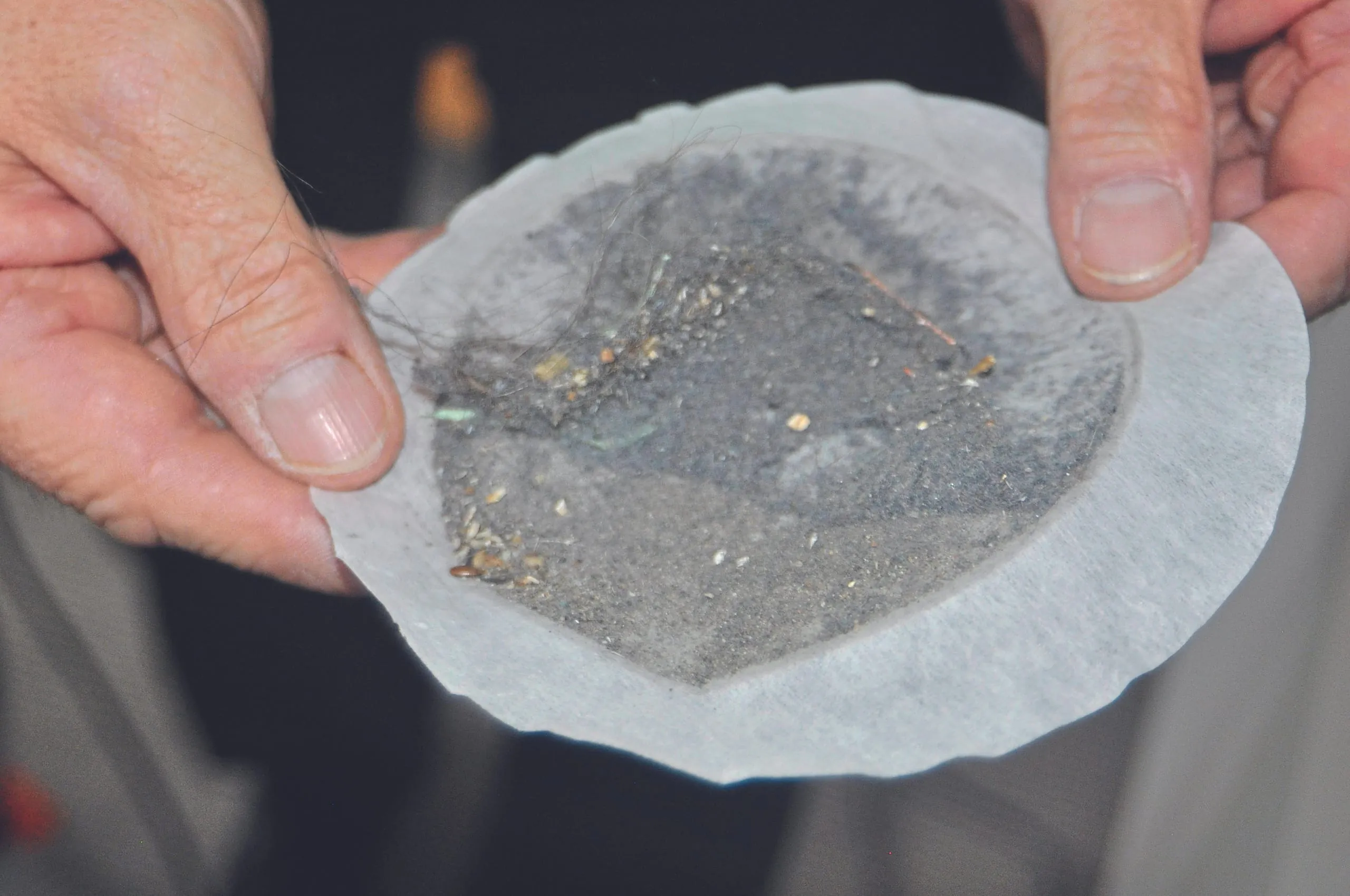 Fleckenstreit im Verwaltungsbau Verfleckungen