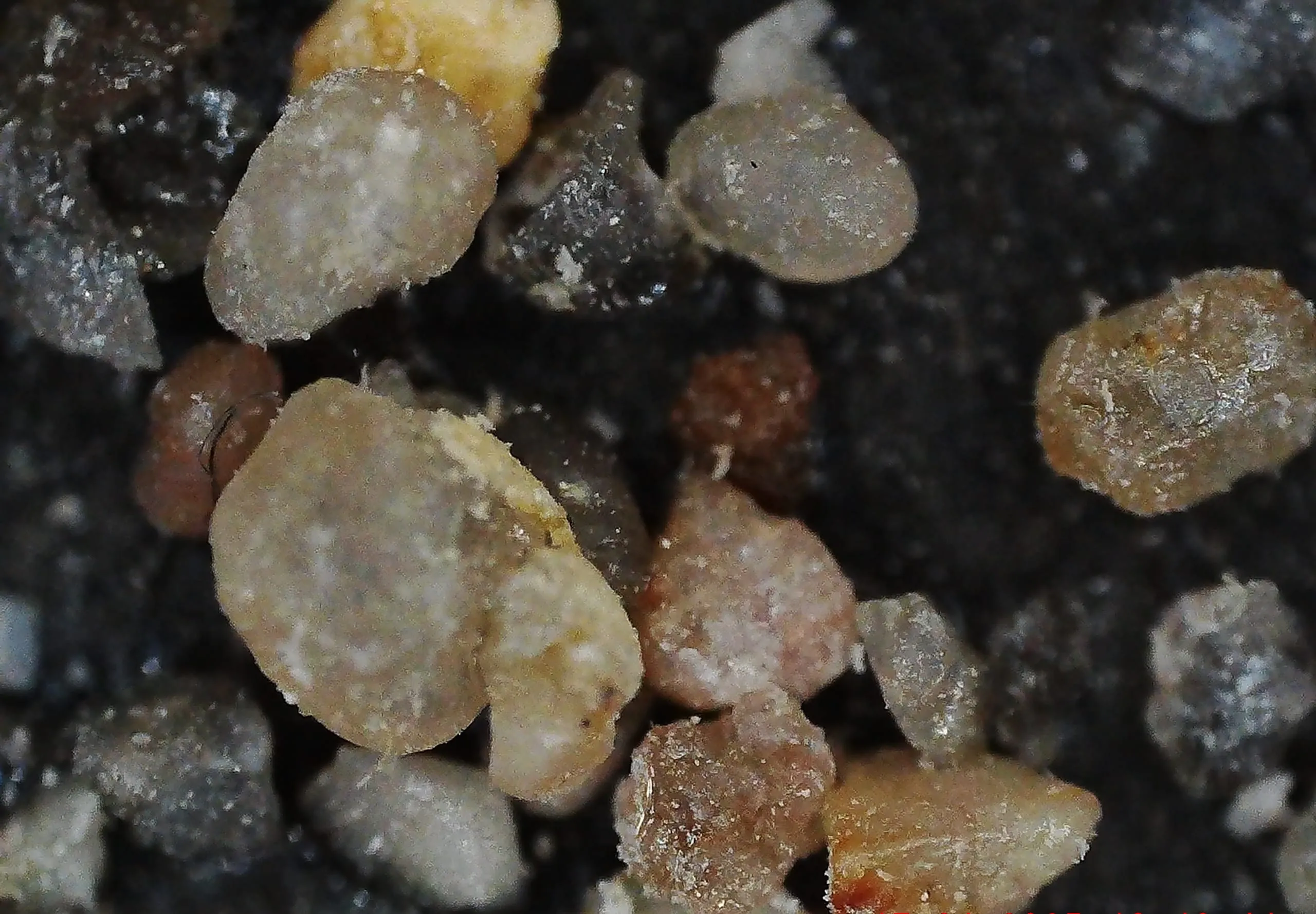 Sanierungsprojekt Absanden