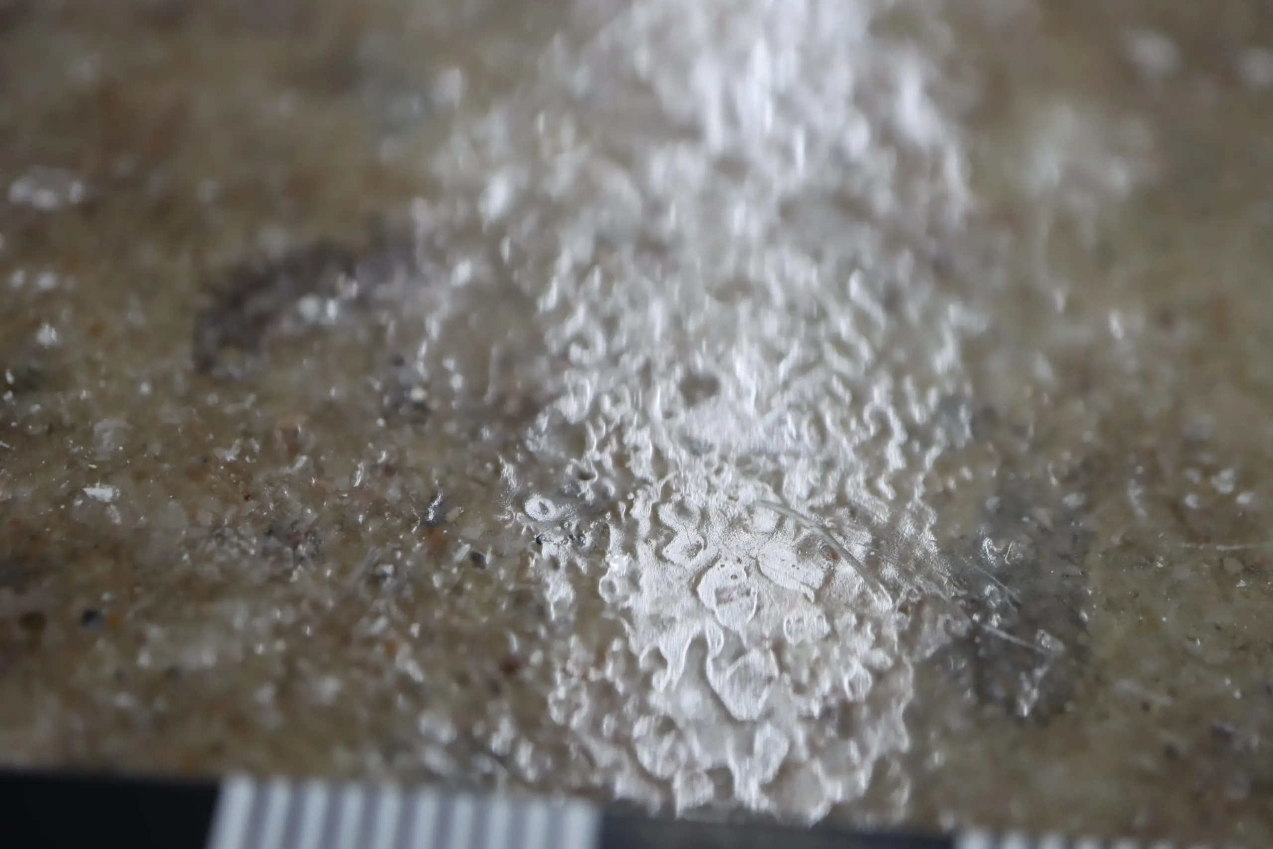 Sanierungsprojekt Absanden