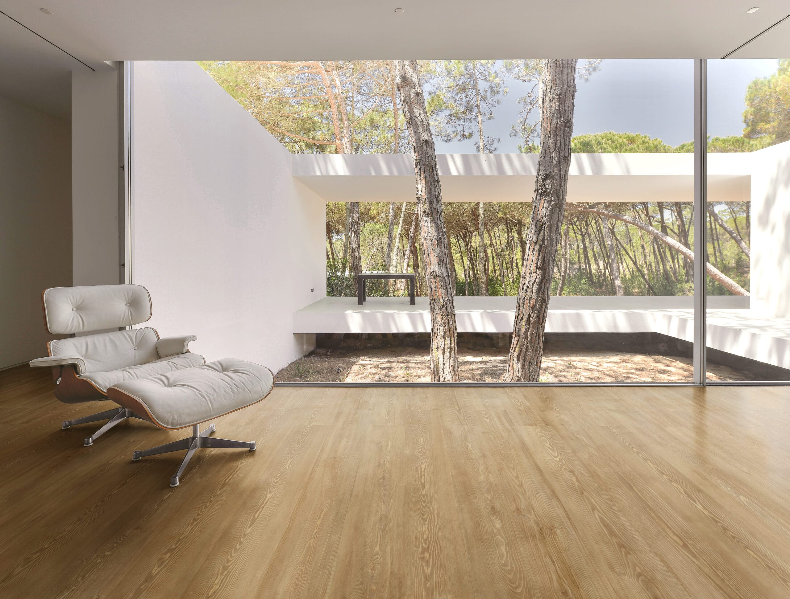 MMFA: starkes Absatzplus dank SPC