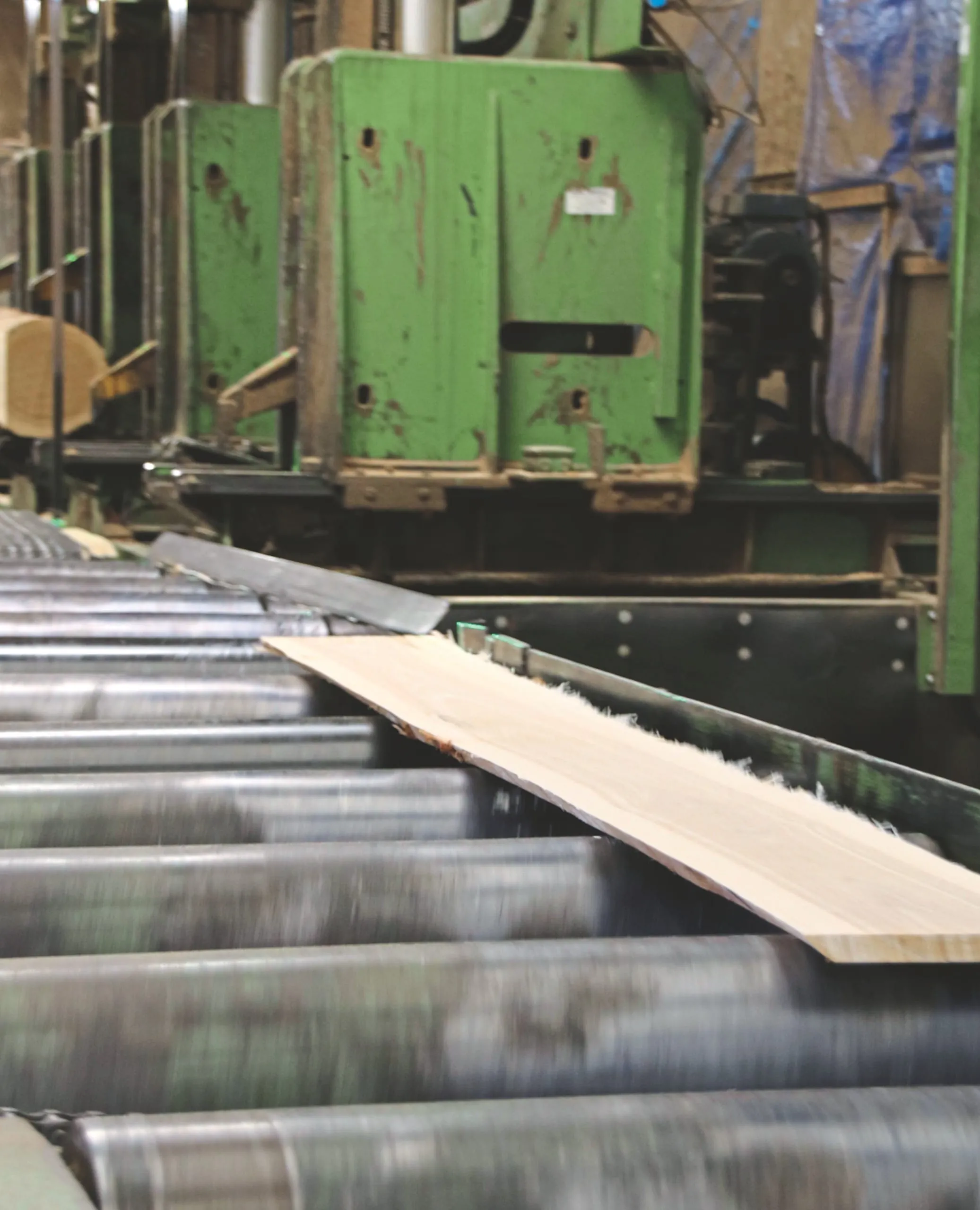 1 Aus den Stämmen wird direkt im Werk Holz in allen Dimensionen gesägt, die benötigt werden.