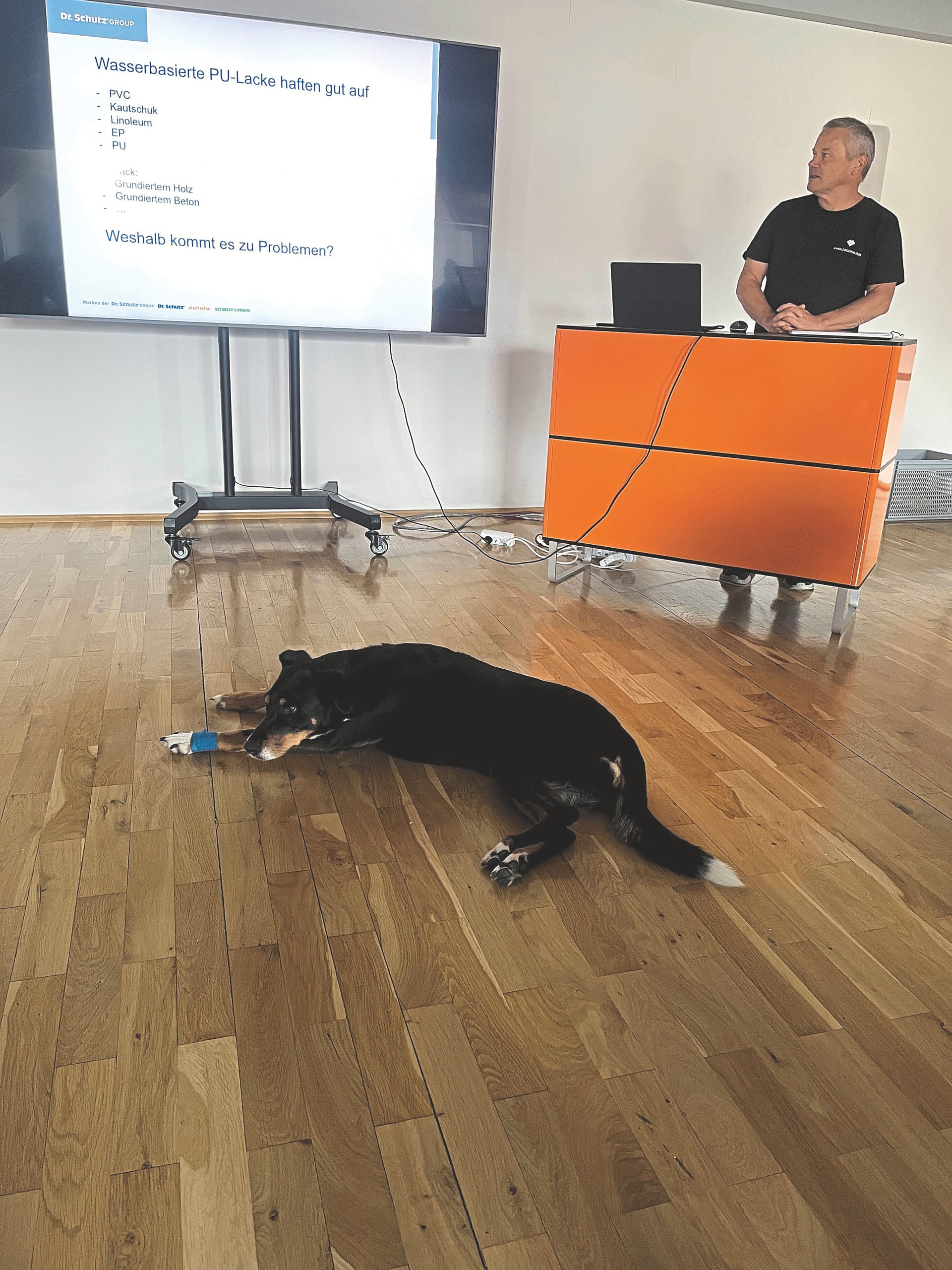 Dr. David Reindl beim Vortrag